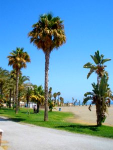 Rincón de la Victoria - La Cala del Moral, playa 06