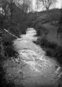 River (1293623)