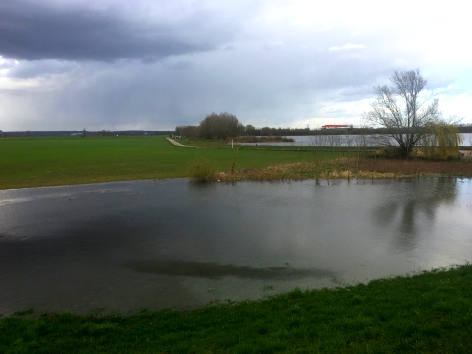 Riverscape of Huissen