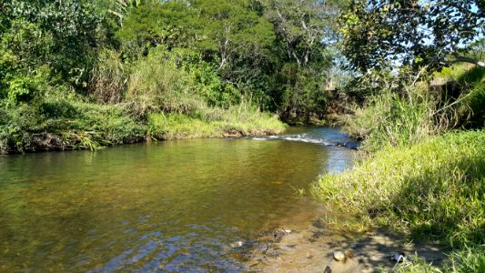 Rio Piracuama, em Pindamonhangaba, SP 1