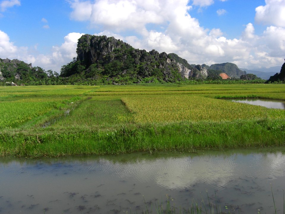 Rizière, baie d'Halong Intérieure 4