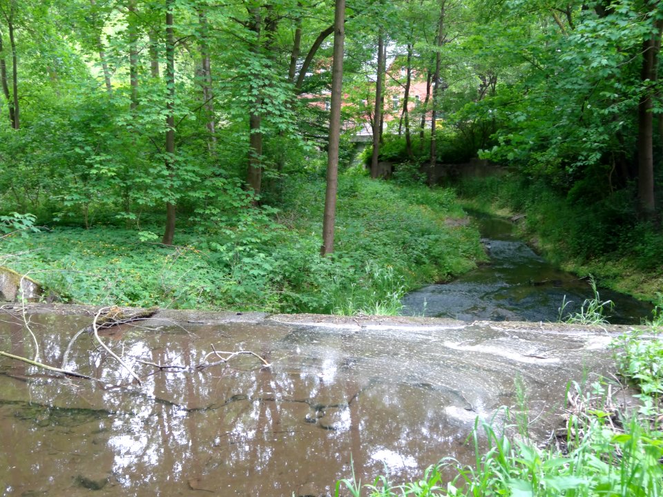 River Lossa Finneck