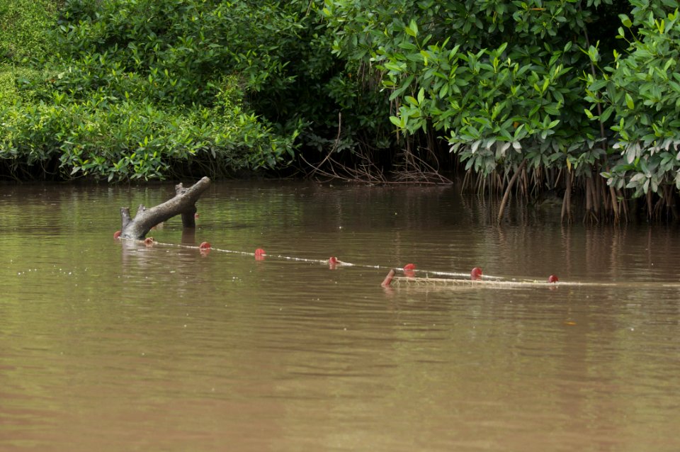 Rio limon venezuela41