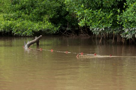 Rio limon venezuela41