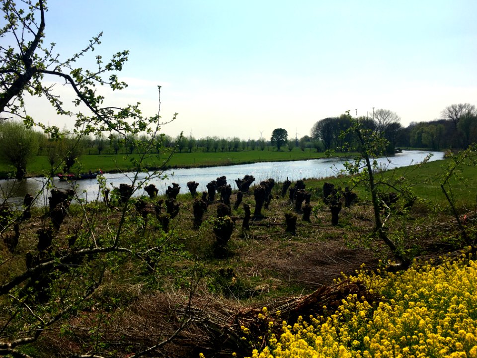 Riverscape of the Linge river