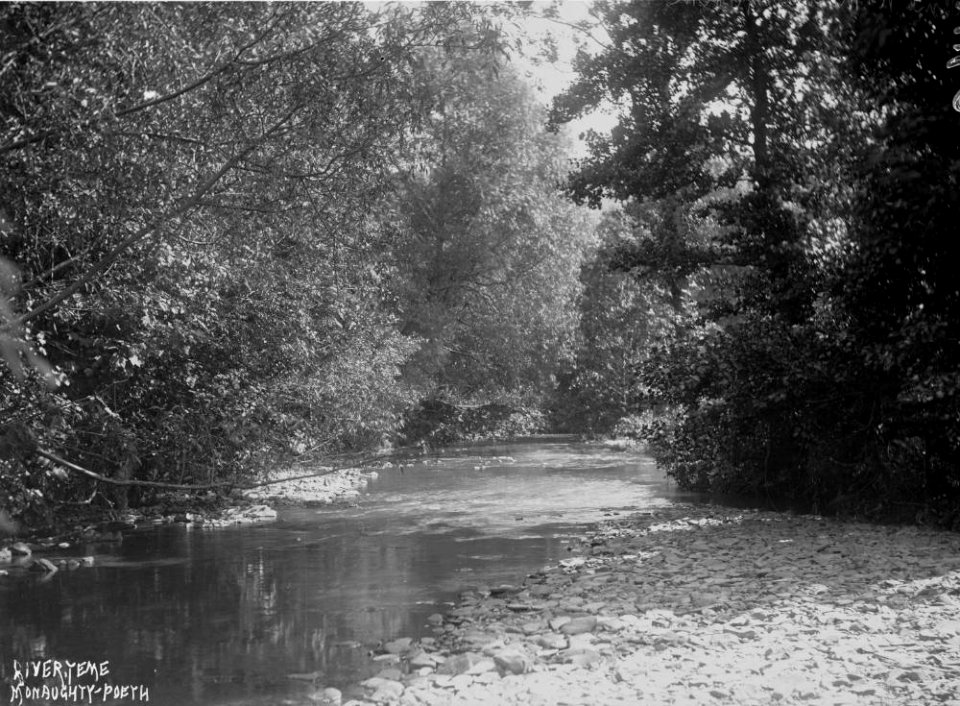 River Teme Monaughty-Poeth (1295068)
