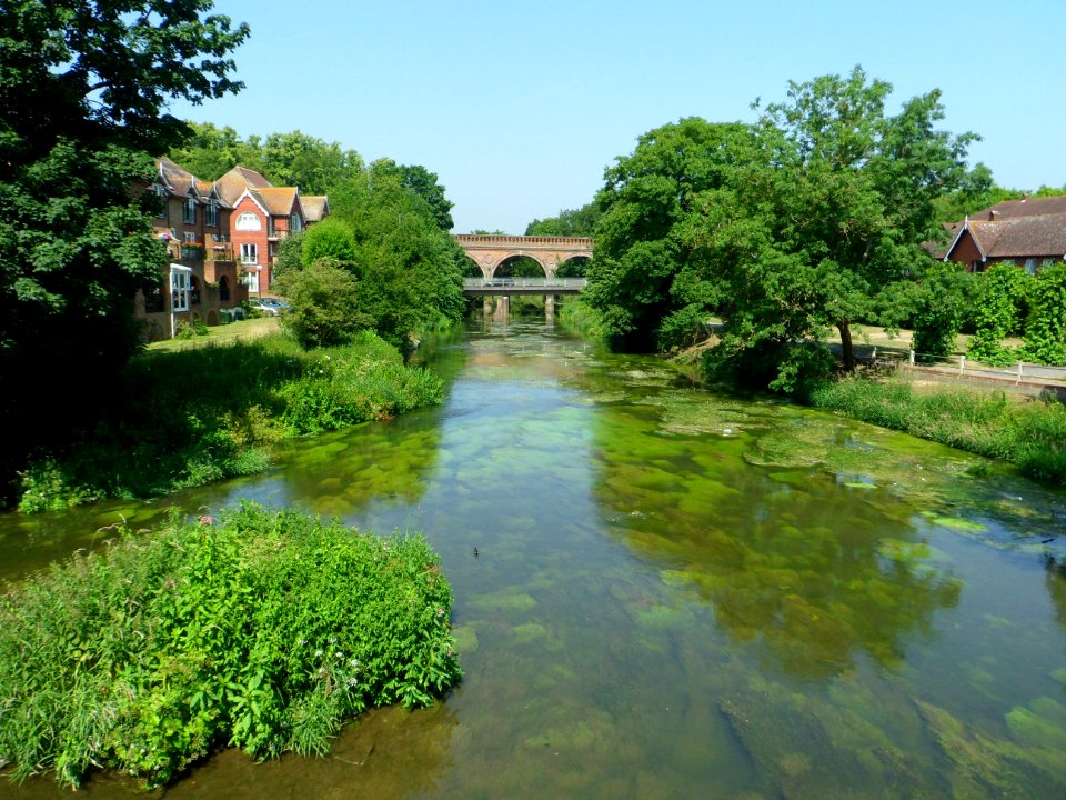 River Mole at Bridge Street, Leatherhead (July 2013)