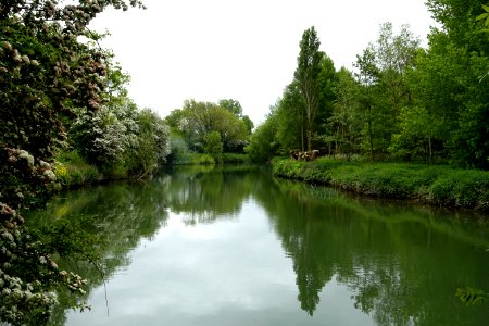 River Thames - Kelmscott, Oxfordshire, England - DSC00190