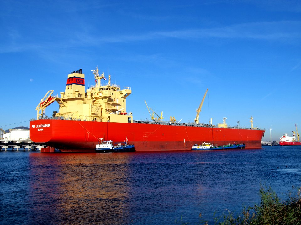 RIO LILLEHAMMER - IMO 9520869 at Port of Amsterdam, photo-3