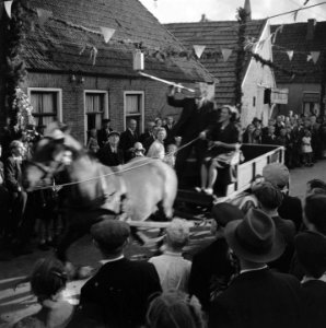 Ringsteken vanaf een paard met wagen, Bestanddeelnr 900-7653