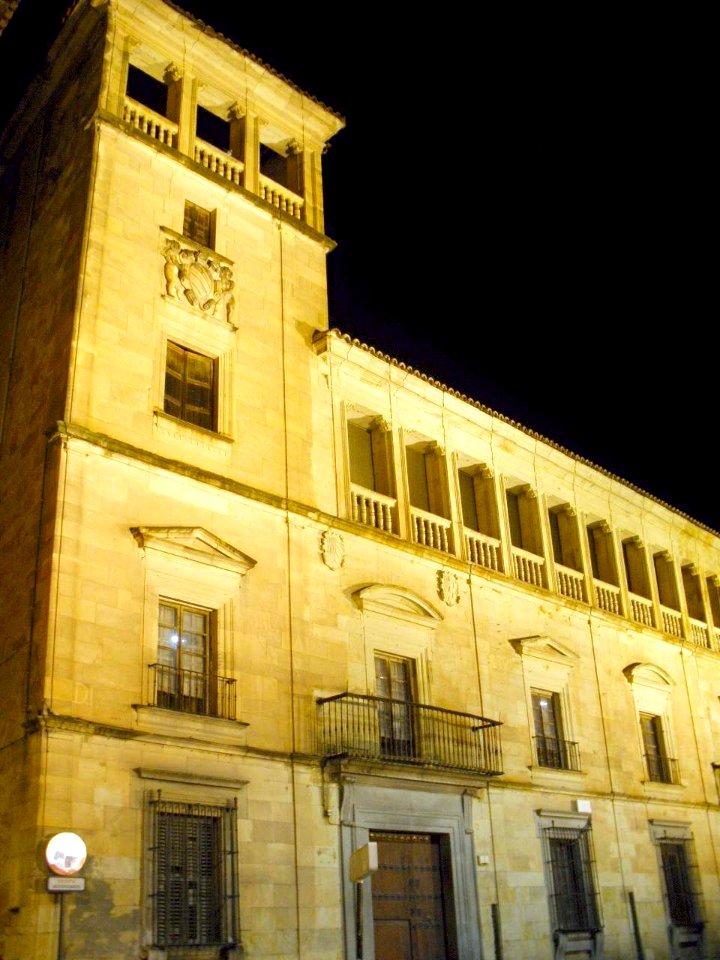 Salamanca - Palacio de Orellana 1