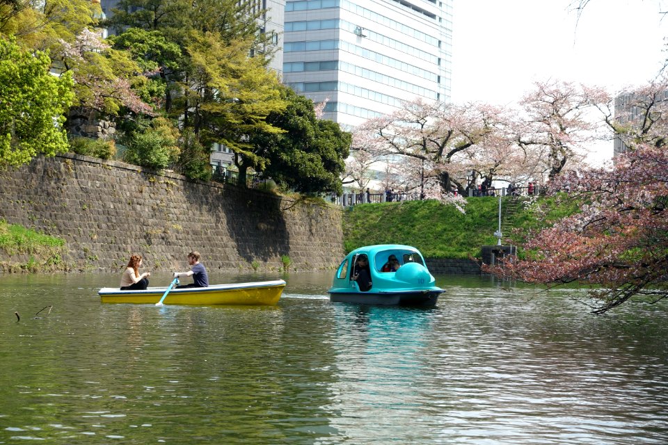 Sakura and boats in the Chidorigafuchi Moat - Tokyo, Japan DSC06078
