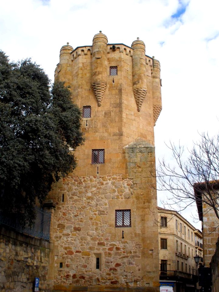 Salamanca - Torre del Clavero 2