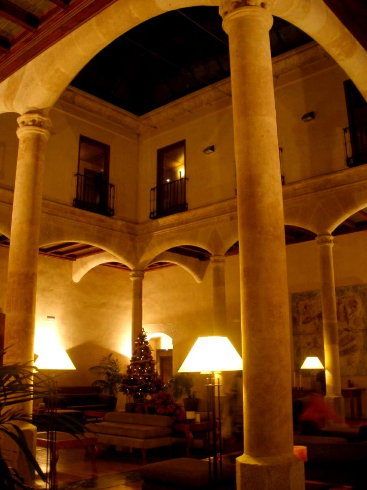 Salamanca - Palacio de Castellanos (Hotel NH) 1