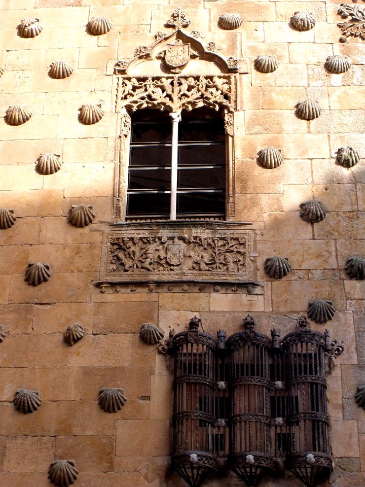 Salamanca - Casa de las Conchas 05