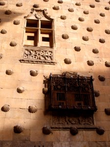 Salamanca - Casa de las Conchas 06