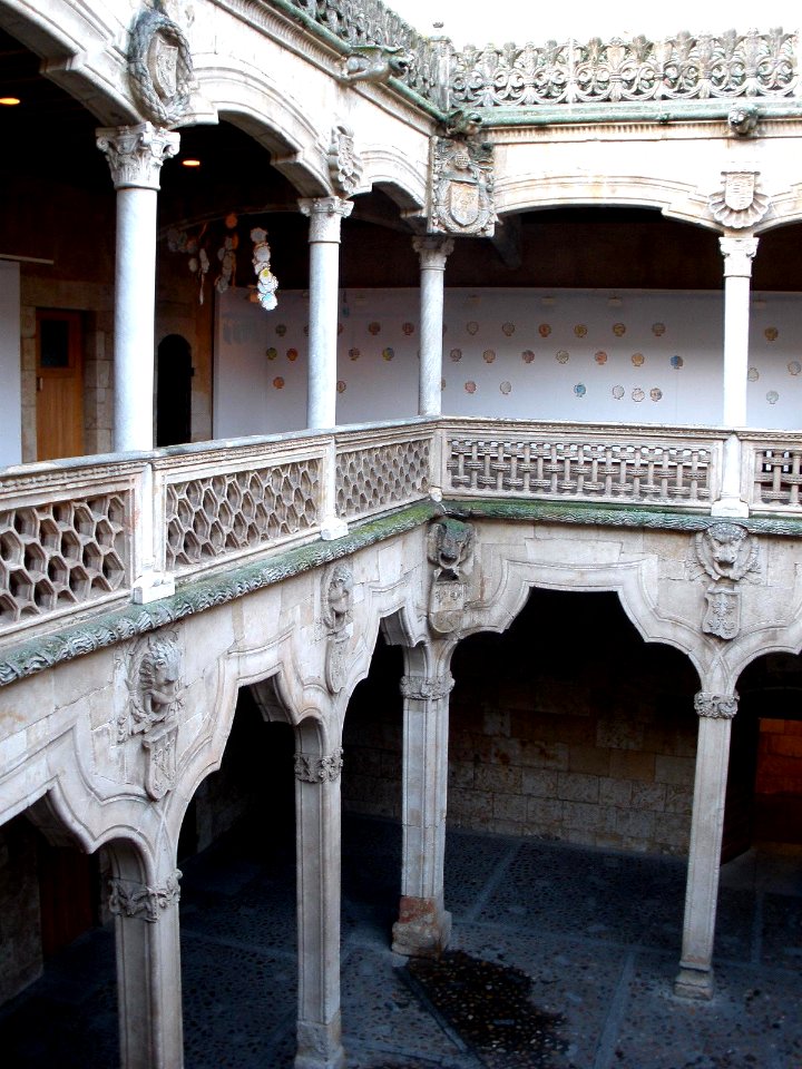 Salamanca - Casa de las Conchas 17