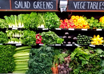 Salad greens and vegetables - Cambridge, MA photo