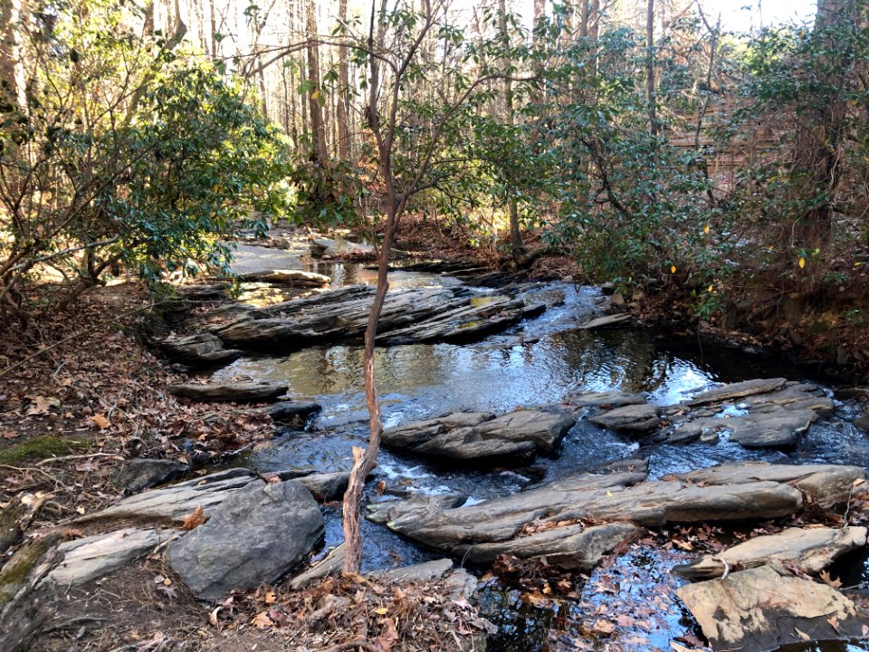 Sal's Creek Autrey Mill Nature Preserve Dec 2020 01