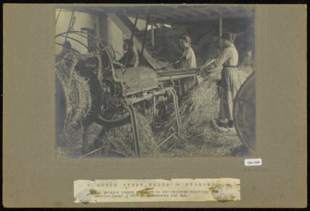 1 Meisjes leggen stro in de strokoordspinmachine een machine maakt ongeveer 6�, Bestanddeelnr 256-1549