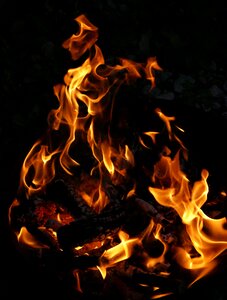 Wood fire burn combustion