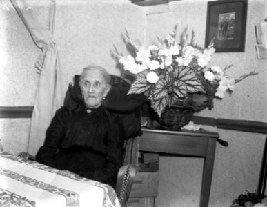 100-jarige te Eindhoven, Bestanddeelnr 902-8911
