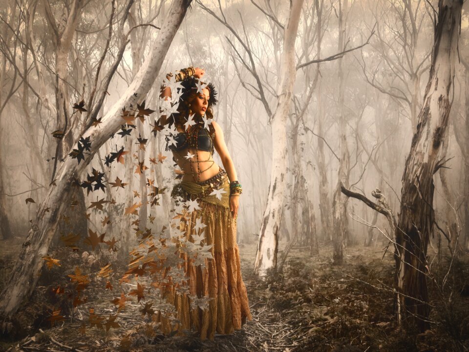 Autumn leaves composing