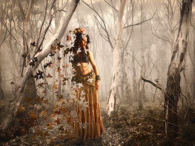 Autumn leaves composing