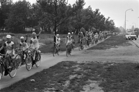 12e Tour de oude Jan voor jongens, start in Velp, peloton onderweg, Bestanddeelnr 924-7057