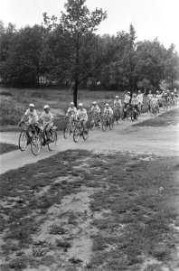 12e Tour de oude Jan voor jongens, start in Velp, peloton onderweg, Bestanddeelnr 924-7056
