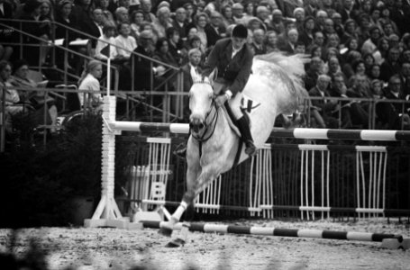 12e Internationaal Concours Hippique Jumping Adam RAI . H. Wouters v.d.Oudeweye, Bestanddeelnr 922-8996