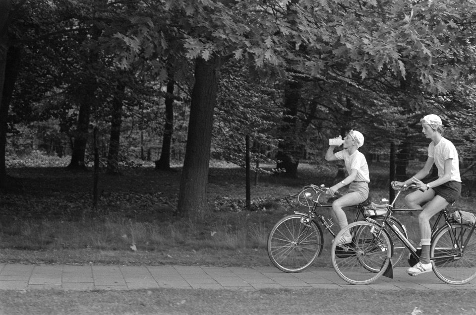 12e Tour de Oude Jan voor jongens, start in Velp, peloton onderweg, Bestanddeelnr 924-7052