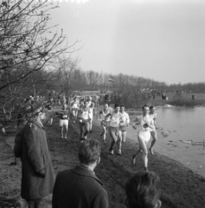 1200m Maple Leaf veldloop in Hilversum. Gerda Kraan (nummer 3) . Tijd 4.31.2, Bestanddeelnr 913-5957