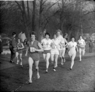 1200m Maple Leaf veldloop in Hilversum, Bestanddeelnr 913-5950