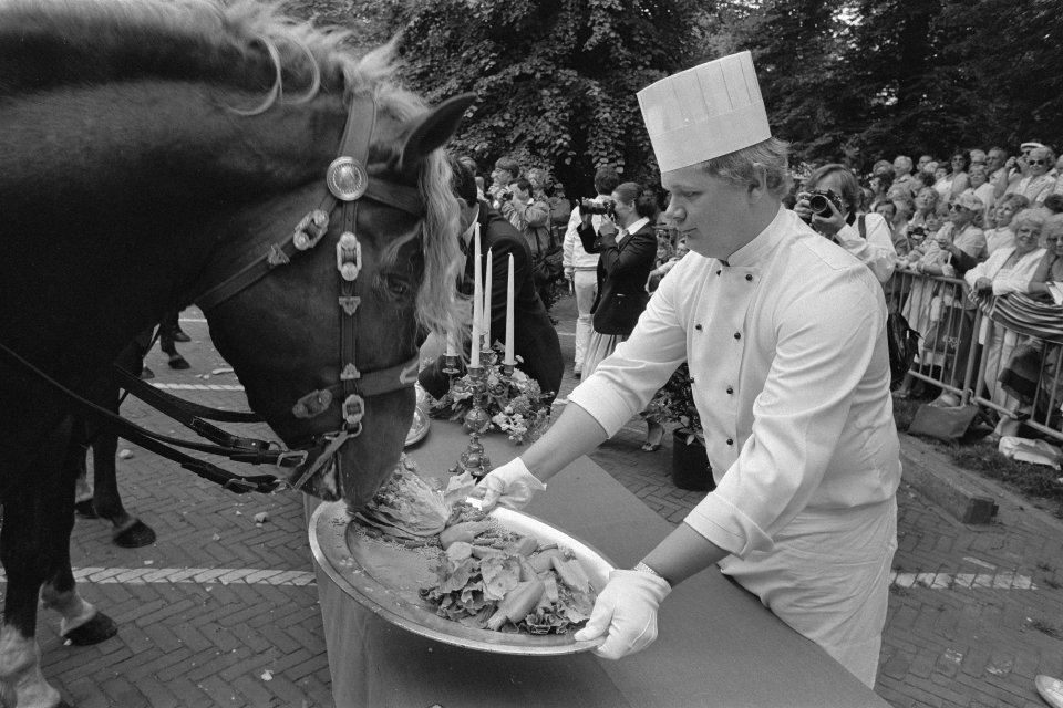 10e keer Haagsche paardendagen obers van Des Indes serveren een paardendejeu, Bestanddeelnr 933-0107