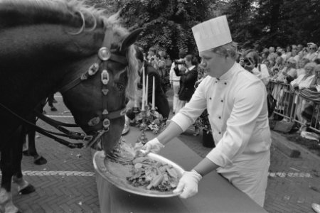10e keer Haagsche paardendagen obers van Des Indes serveren een paardendejeu, Bestanddeelnr 933-0107