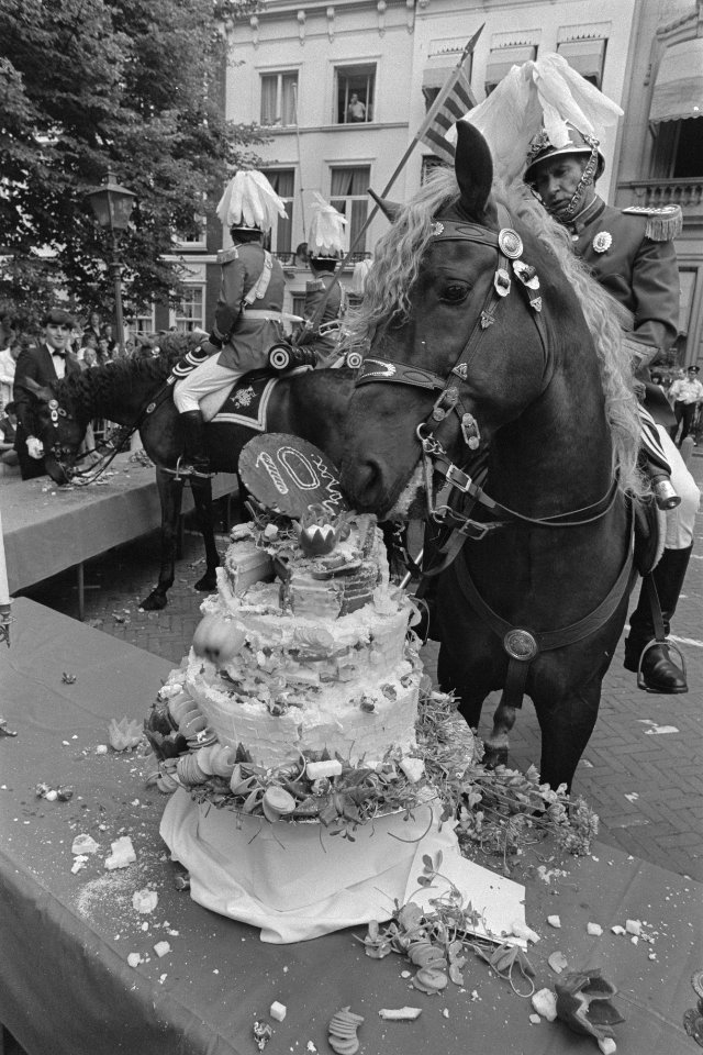 10e keer Haagsche paardendagen obers van Des Indes serveren een paardendejeu, Bestanddeelnr 933-0106