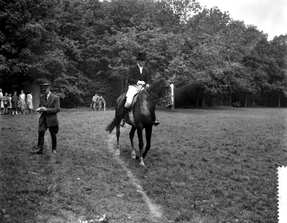10e Internationale concours hippique te Rotterdam, Bestanddeelnr 908-9060