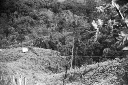  Borneo, Bestanddeelnr 1727-8-1