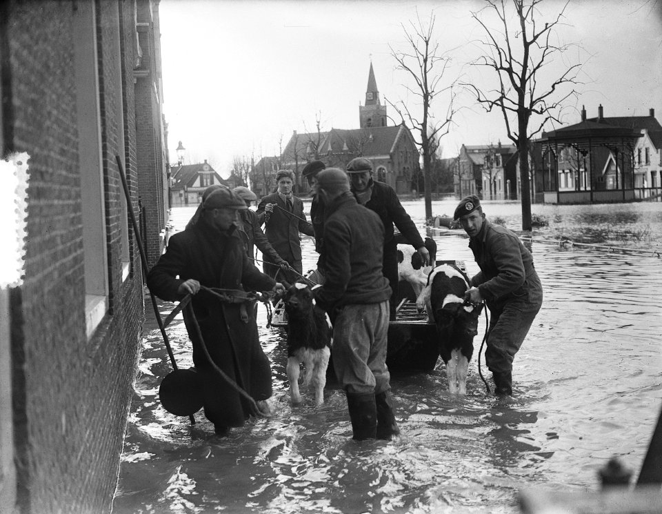 's-Gravendeel. Zuidervoorstraat, Bestanddeelnr 905-5151