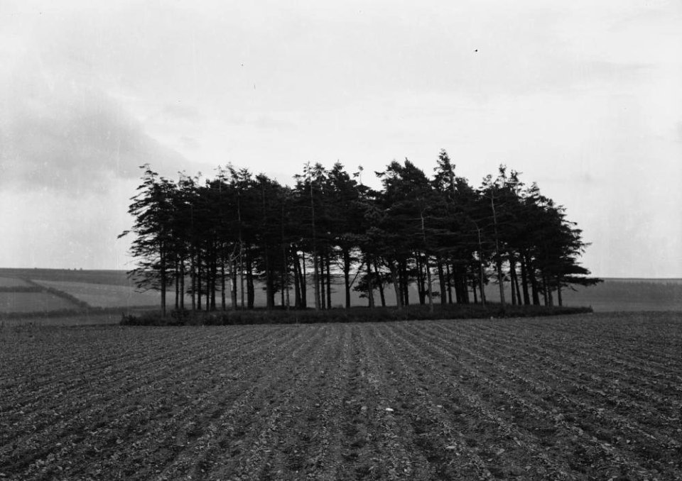 - 'Druids Circle' near Clun (1294155)