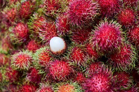 Asian malaysia thailand