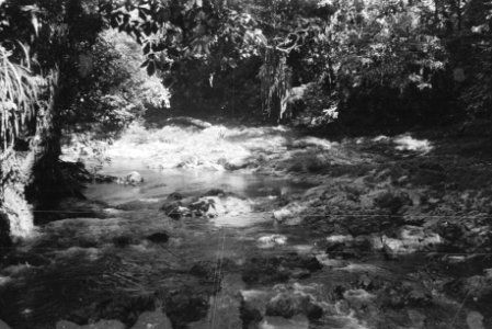 Borneo, Bestanddeelnr 1728-5-1