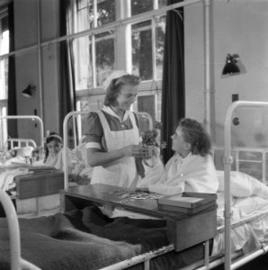  geneeskunde, Bestanddeelnr 900-8152