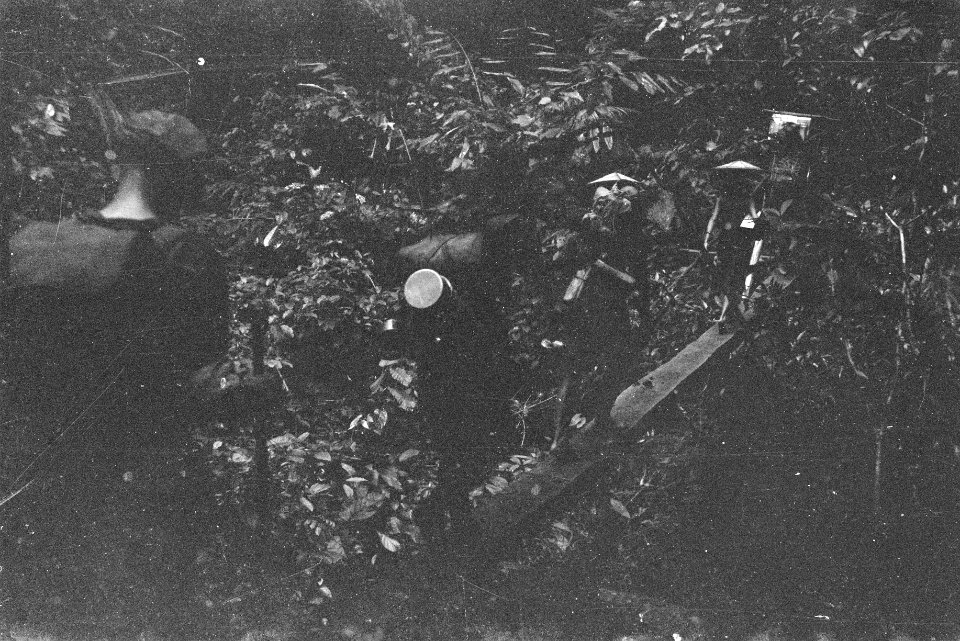  Borneo, Bestanddeelnr 1728-6-1