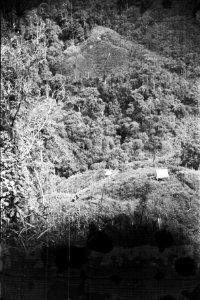  Borneo, Bestanddeelnr 1728-5-3