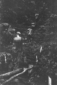  Borneo, Bestanddeelnr 1728-6-2