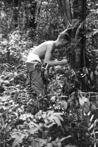  Borneo, Bestanddeelnr 1722-1-2