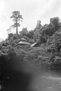  Borneo, Bestanddeelnr 1727-3-1