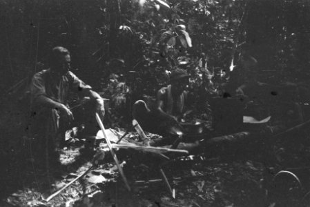  Borneo, Bestanddeelnr 1725-1-3
